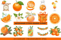 Citrus Orange Clipart - CraftNest - Digital Crafting and Art