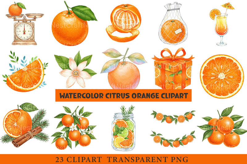 Citrus Orange Clipart - CraftNest - Digital Crafting and Art