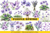 Purple Spring Clipart