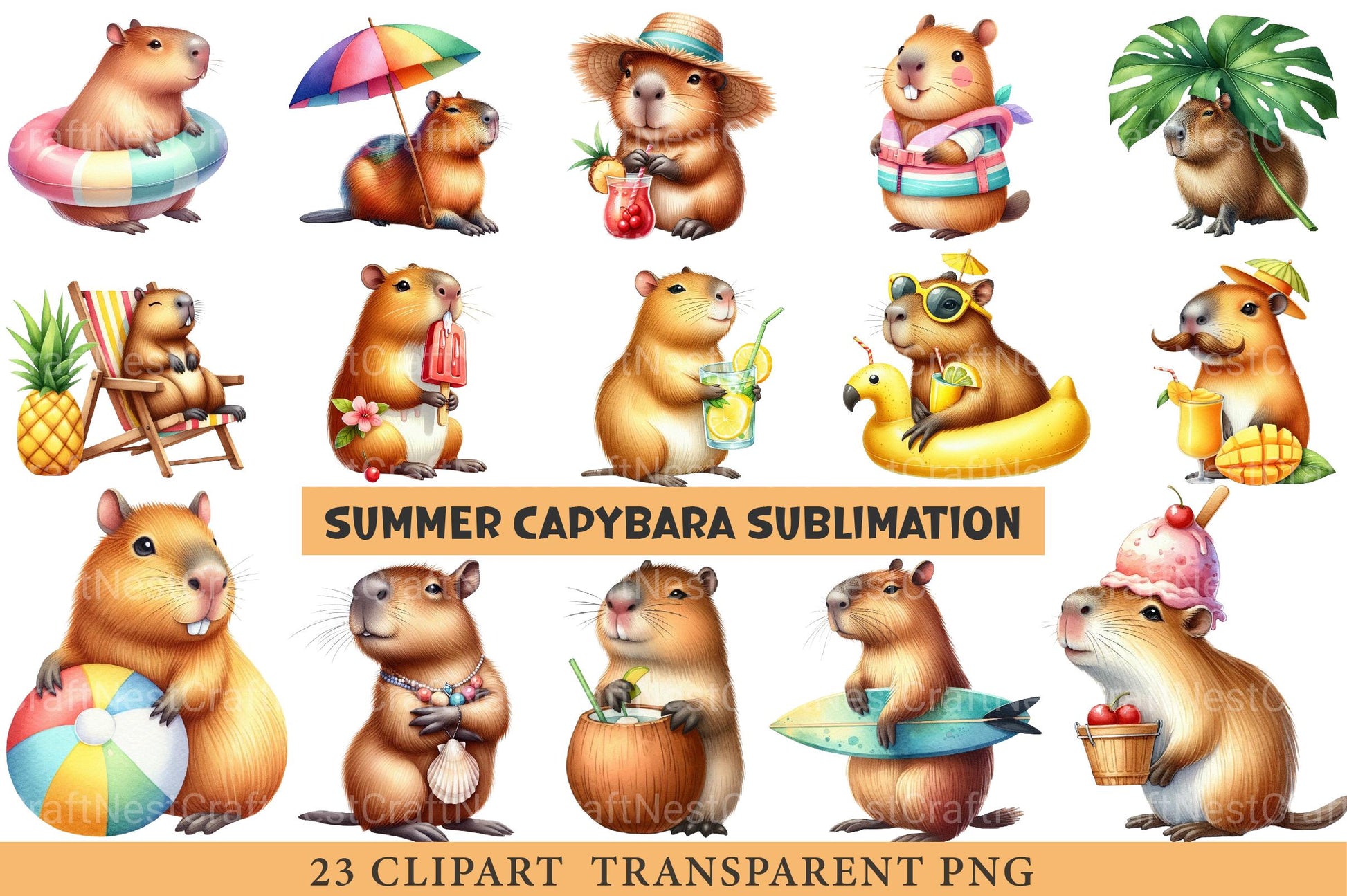 Summer Capybara Clipart - CraftNest - Digital Crafting and Art