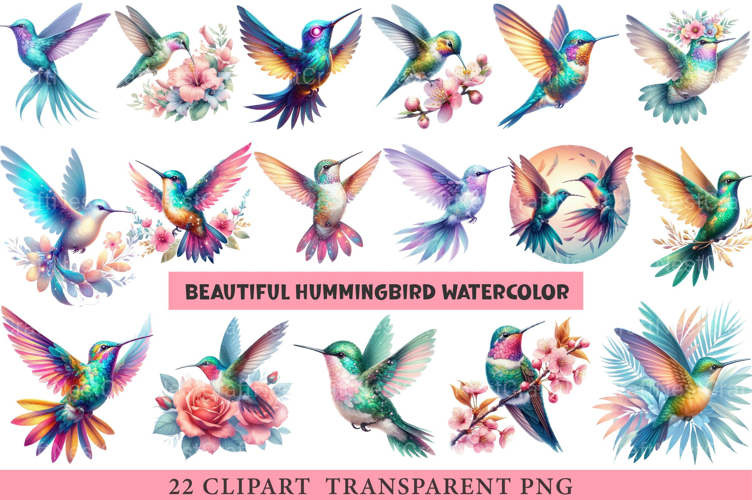 Beautiful Hummingbird Clipart - CraftNest - Digital Crafting and Art