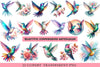Beautiful Hummingbird Clipart