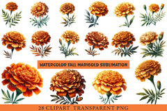 Fall Marigold Clipart - CraftNest - Digital Crafting and Art