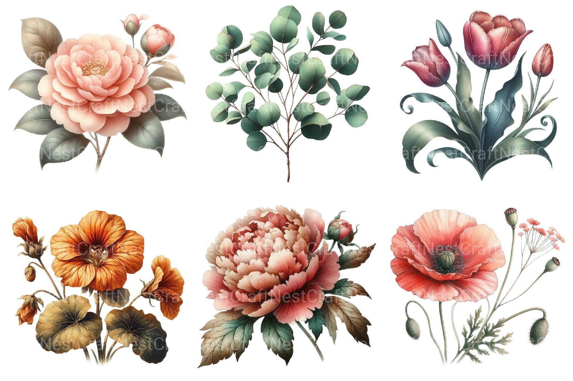 Vintage Botanical Clipart - CraftNest - Digital Crafting and Art