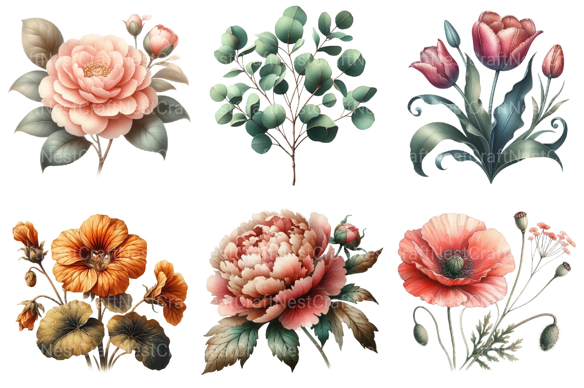 Vintage Botanical Clipart - CraftNest - Digital Crafting and Art