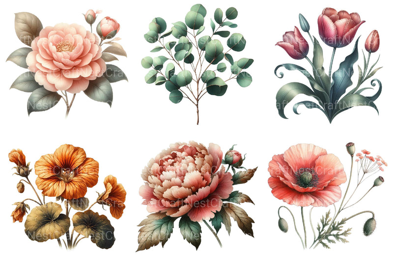 Vintage Botanical Clipart - CraftNest - Digital Crafting and Art