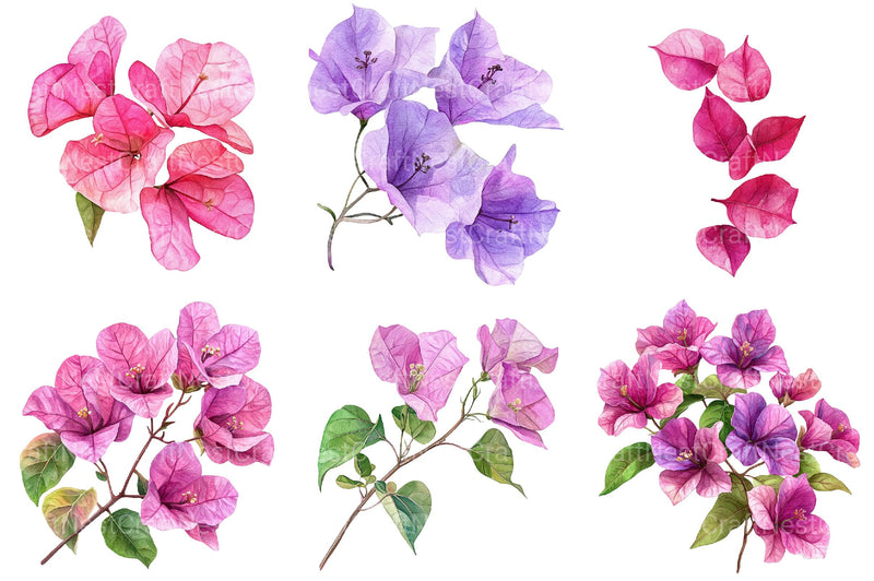 Bougainvillea Flower Clipart - CraftNest - Digital Crafting and Art