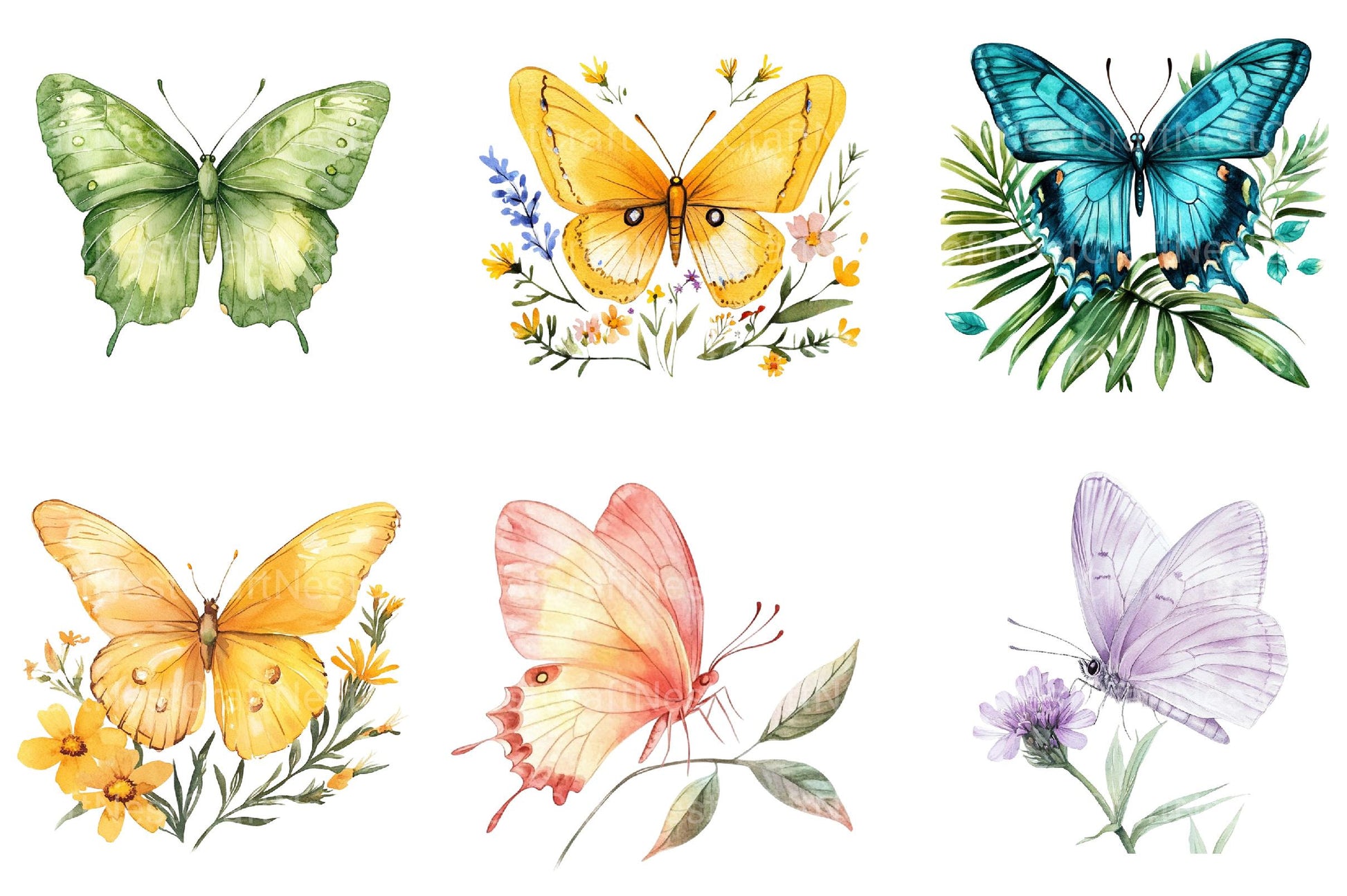 Summer Butterfly Clipart - CraftNest - Digital Crafting and Art