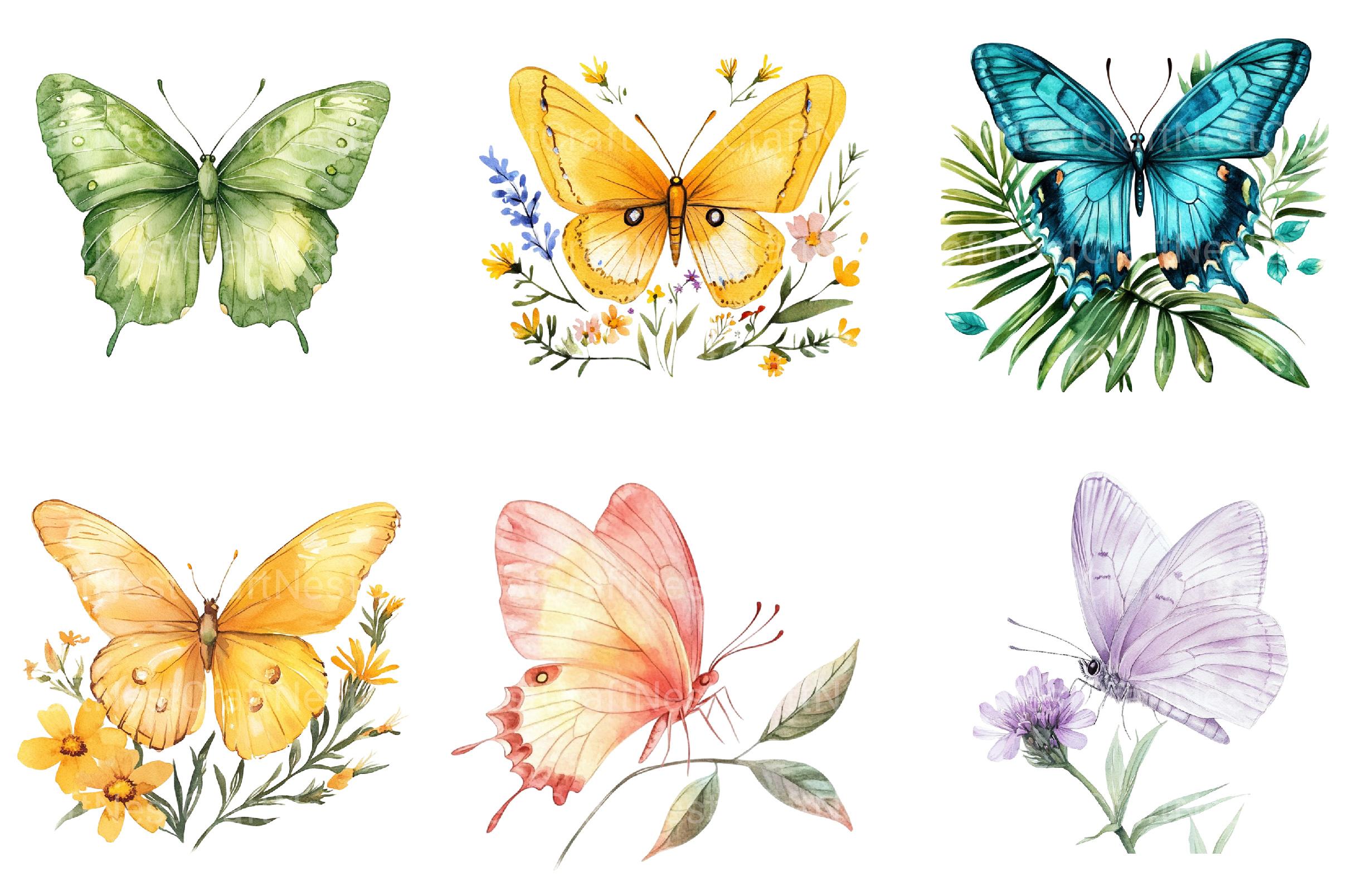 Summer Butterfly Clipart - CraftNest - Digital Crafting and Art