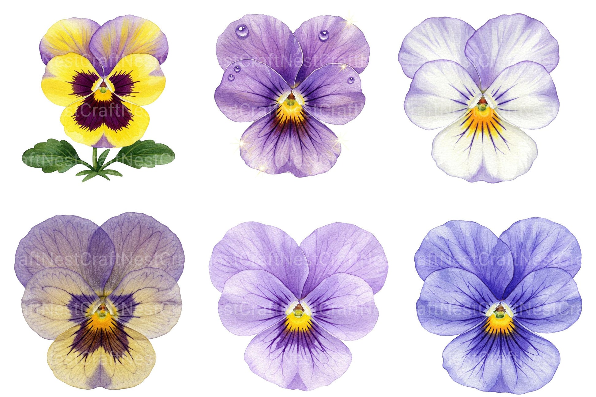 Viola Flower Bloom Clipart - CraftNest - Digital Crafting and Art