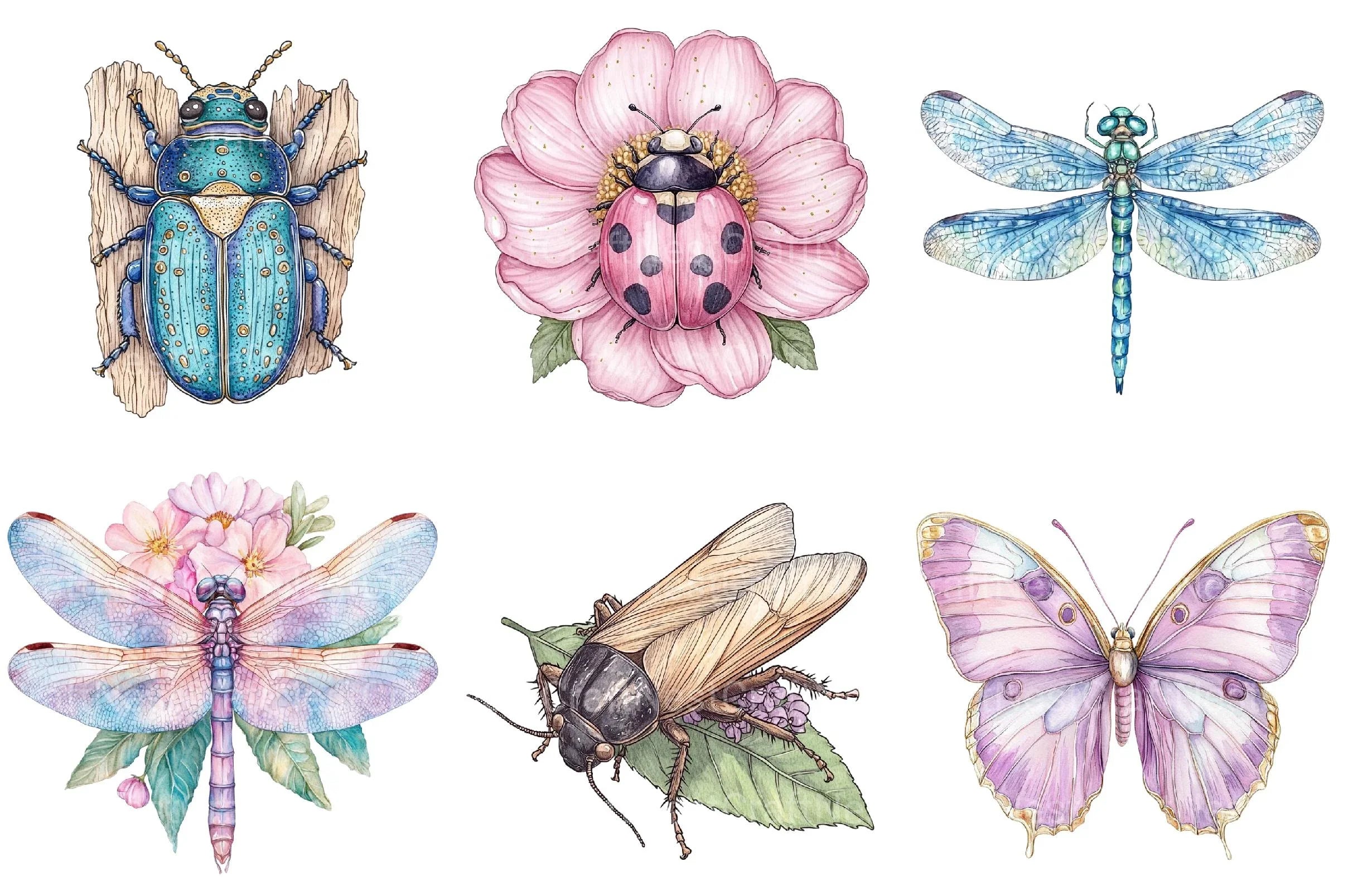 Bugs Clipart - CraftNest - Digital Crafting and Art
