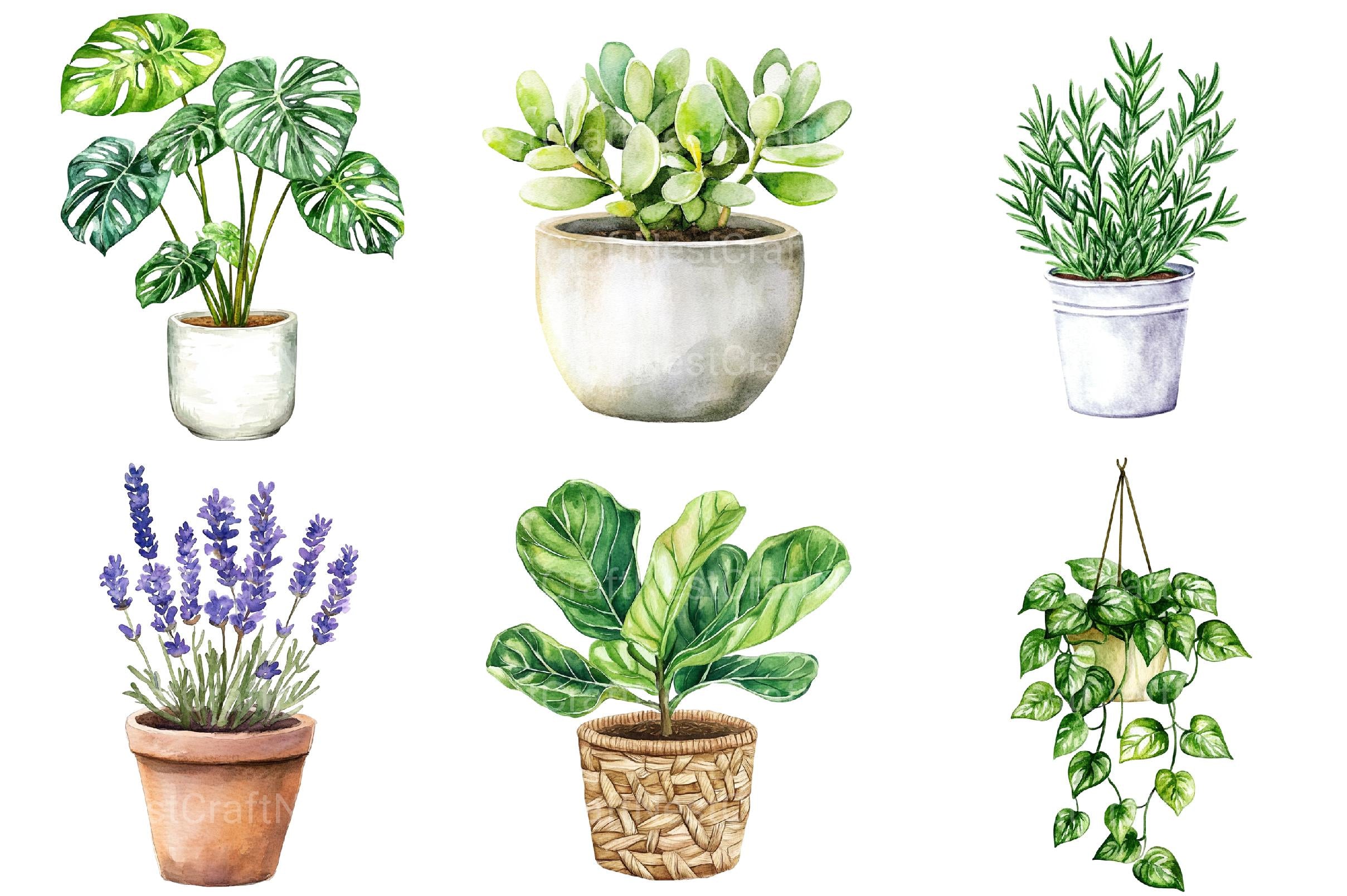 Potted Plants Clipart - CraftNest - Digital Crafting and Art