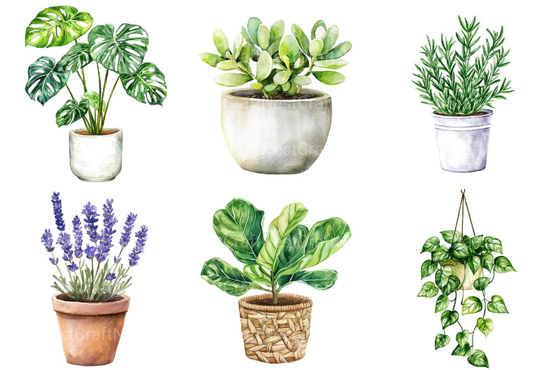 Potted Plants Clipart - CraftNest - Digital Crafting and Art