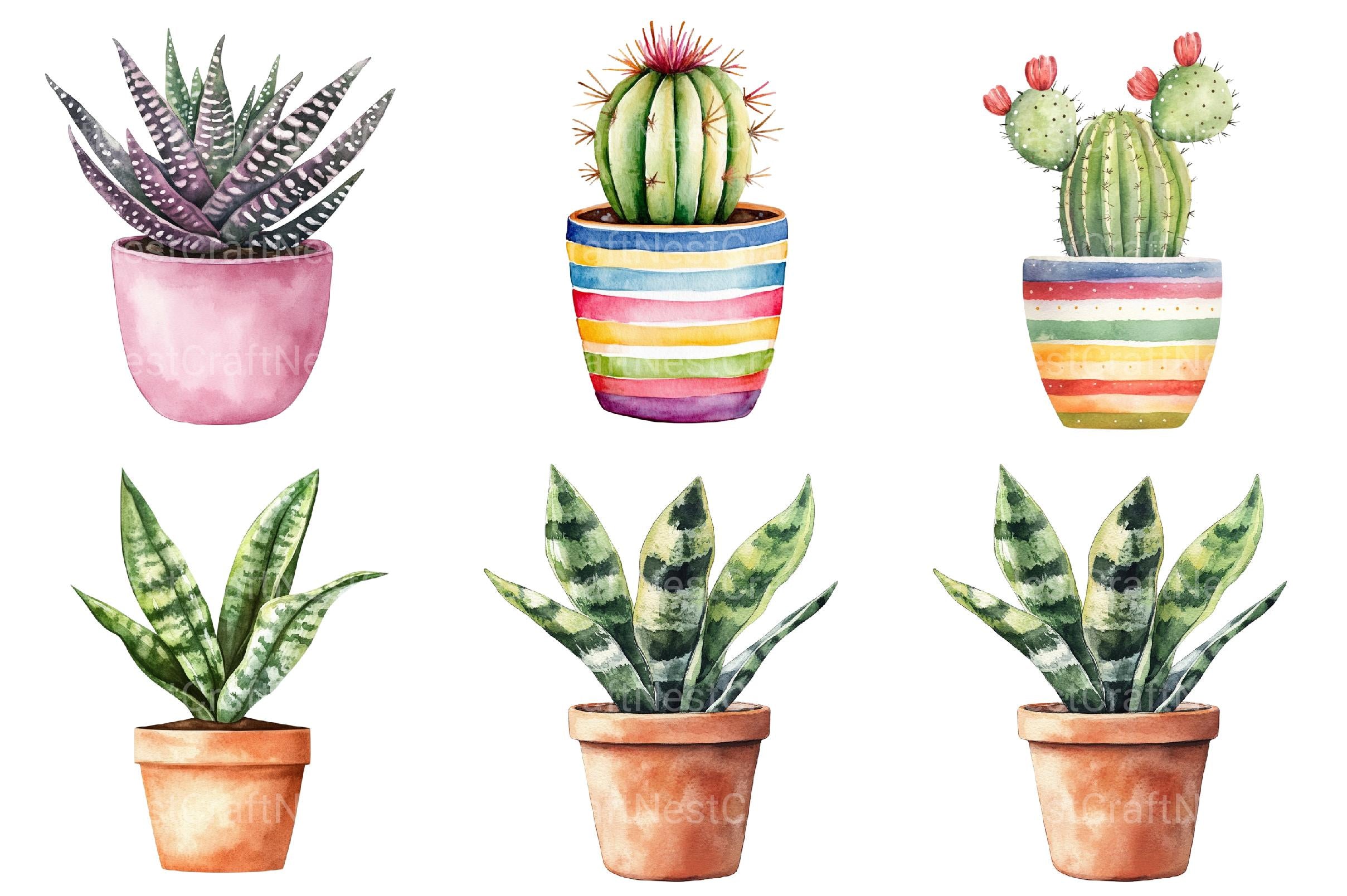 Potted Plants Clipart - CraftNest - Digital Crafting and Art