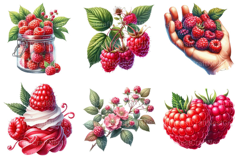 Raspberry Clipart 1 - CraftNest - Digital Crafting and Art