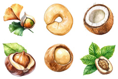 Nuts Clipart Bundle - CraftNest - Digital Crafting and Art