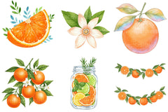 Citrus Orange Clipart - CraftNest - Digital Crafting and Art