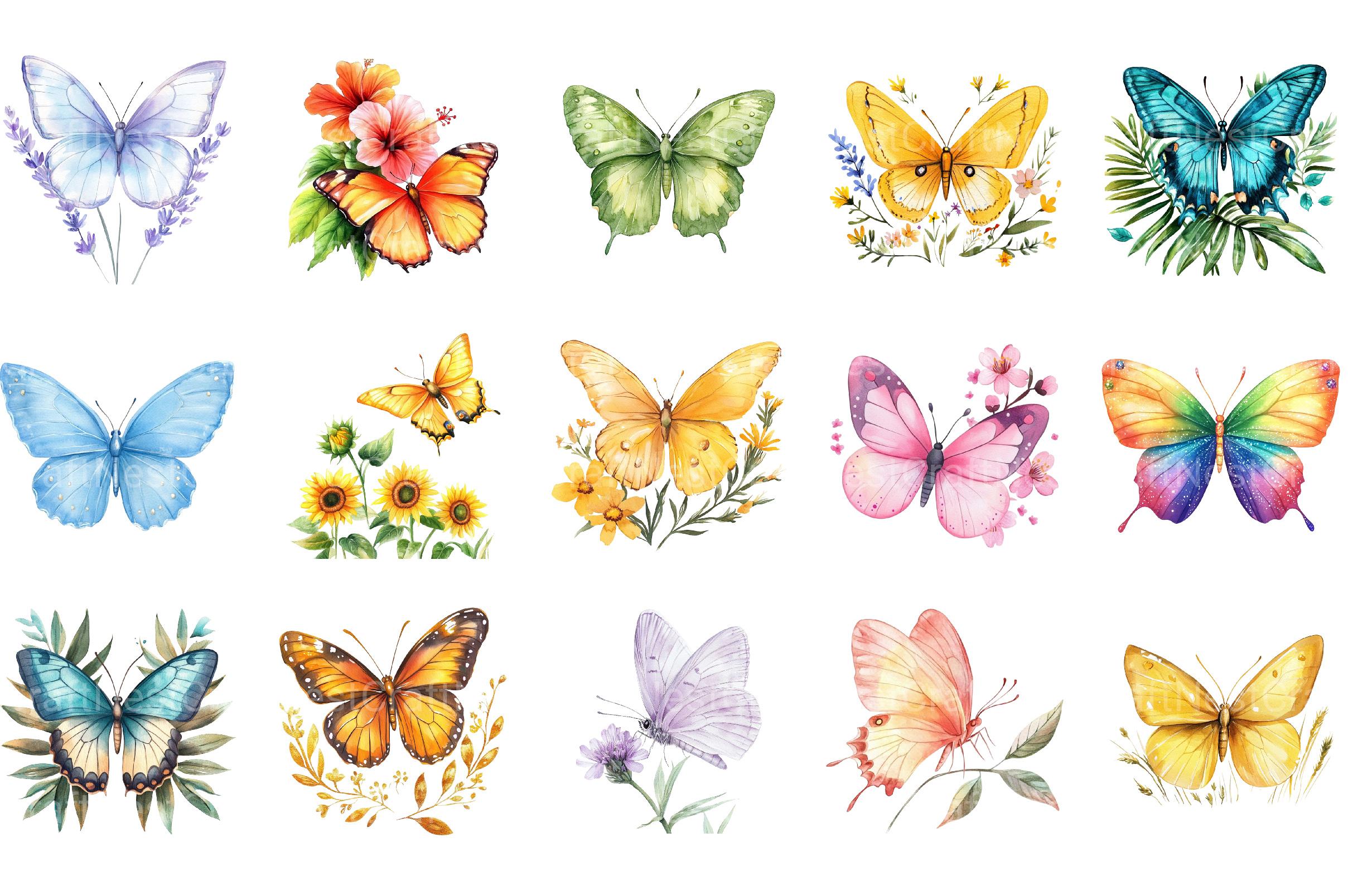 Summer Butterfly Clipart - CraftNest - Digital Crafting and Art