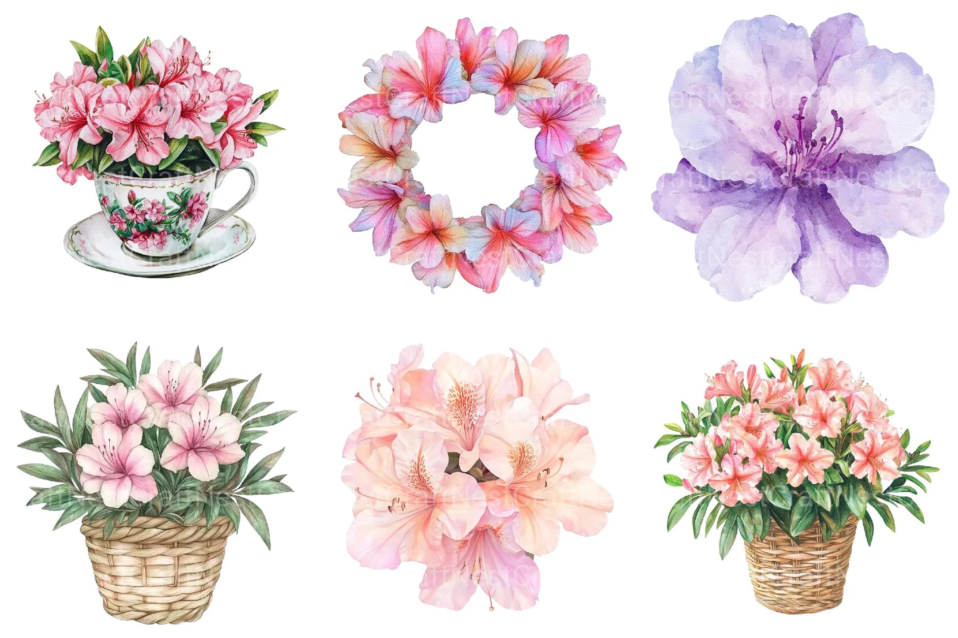 Spring Azalea Flower Clipart - CraftNest - Digital Crafting and Art