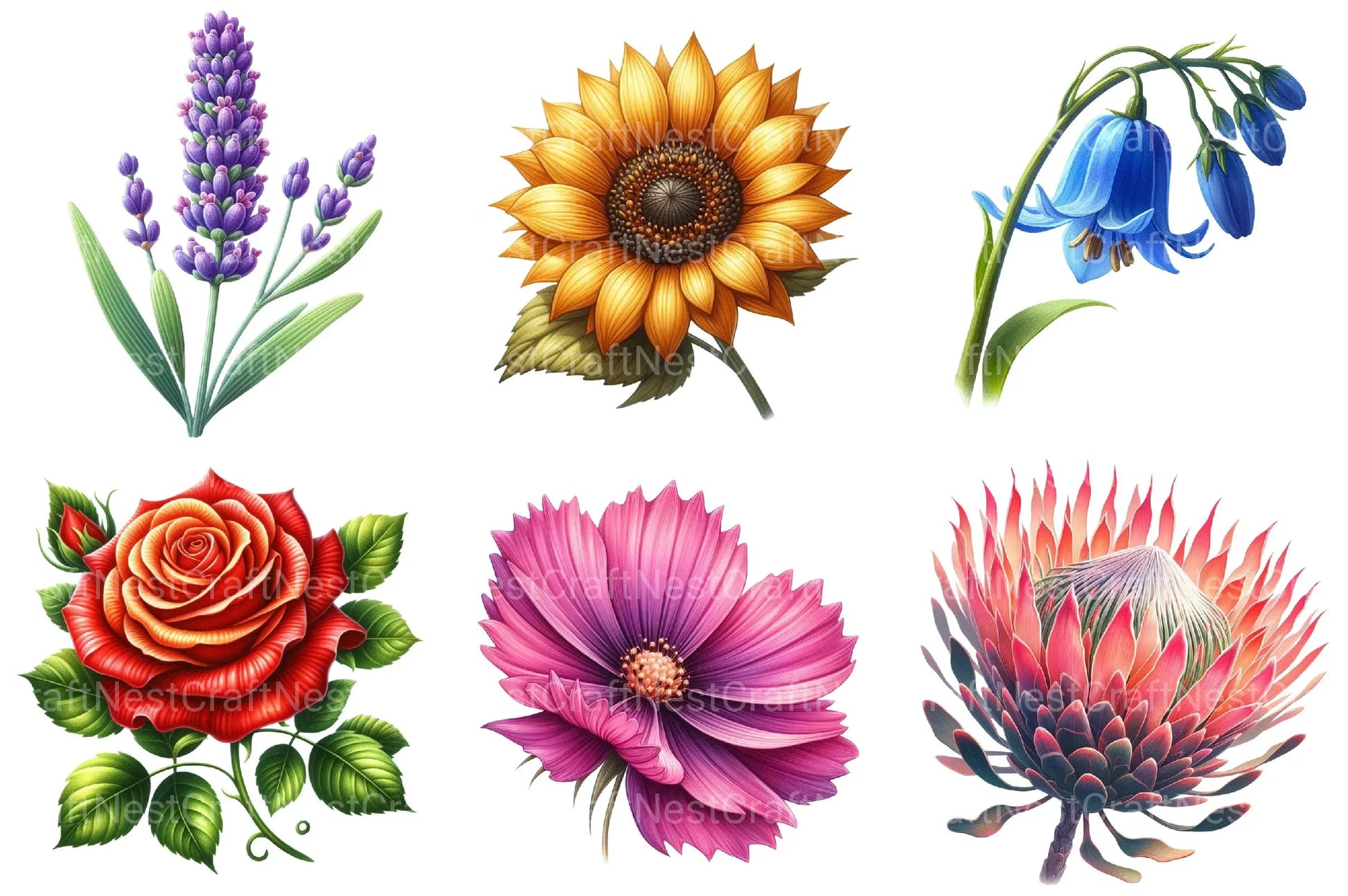 Flowers Clipart - CraftNest - Digital Crafting and Art