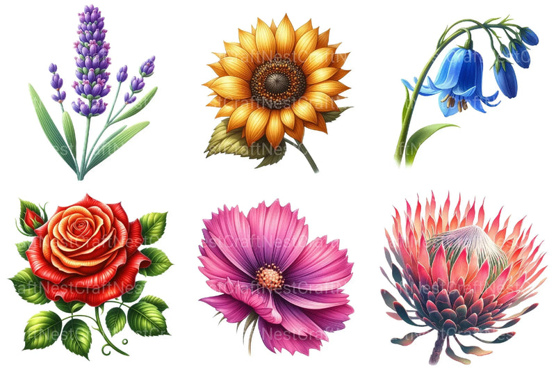 Flowers Clipart - CraftNest - Digital Crafting and Art