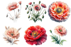Corn Poppy Flower Bloom Clipart Bundle - CraftNest - Digital Crafting and Art