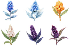 Celosia Flower Clipart Bundle - CraftNest - Digital Crafting and Art