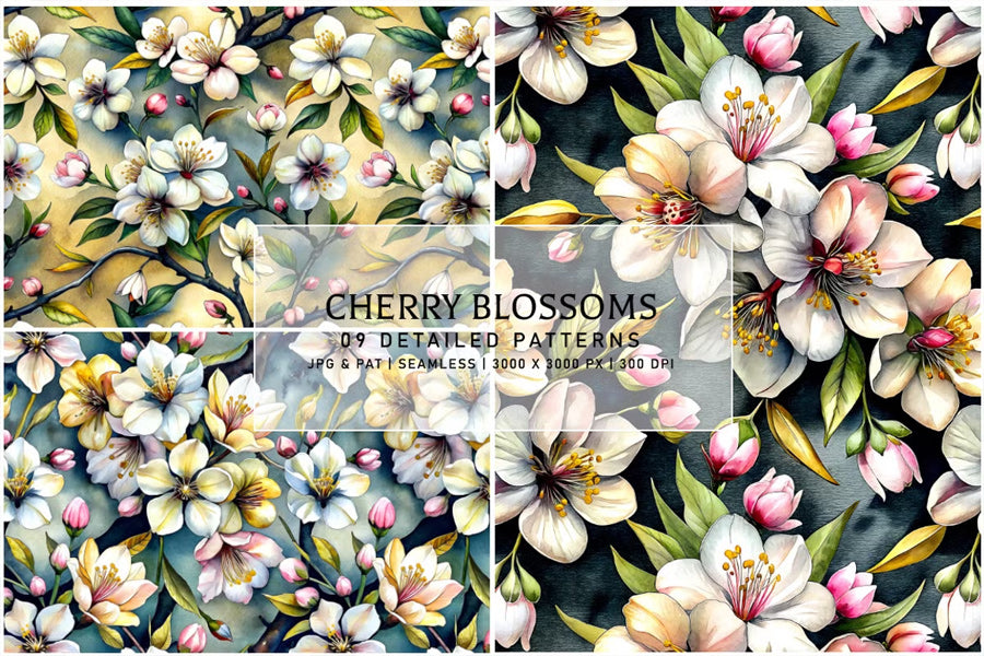Cherry Blossoms - Floral