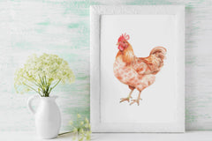 Charming Chicken Farm Clipart Bundle - CraftNest - Digital Crafting and Art