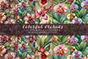 Colorful Orchids - Floral