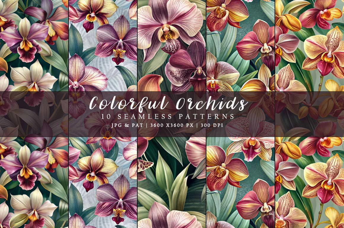 Colorful Orchids - Floral
