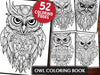 Owl Coloring Book
