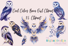 Cool Colors Barn Owl Clipart Bundle