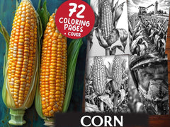 Corn Coloring Books - CraftNest - Digital Crafting and Art