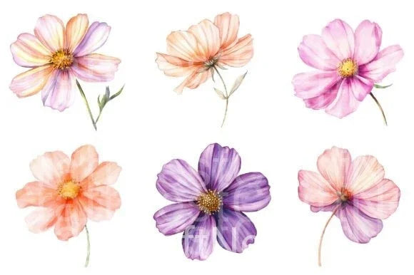 Cosmos Flower Clipart Bundle - CraftNest - Digital Crafting and Art