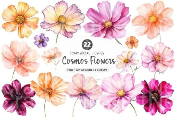 Cosmos Flower Clipart Bundle - CraftNest - Digital Crafting and Art
