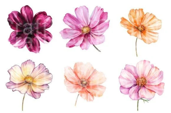 Cosmos Flower Clipart Bundle - CraftNest - Digital Crafting and Art