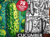 Cucumber Coloring Books