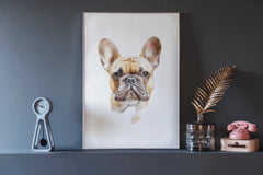 Cute French Bulldog Clipart Bundle - CraftNest - Digital Crafting and Art