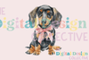Dachshund Coquette Bow Design