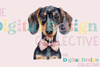 Dachshund Coquette Bow Design Clipart Bundle