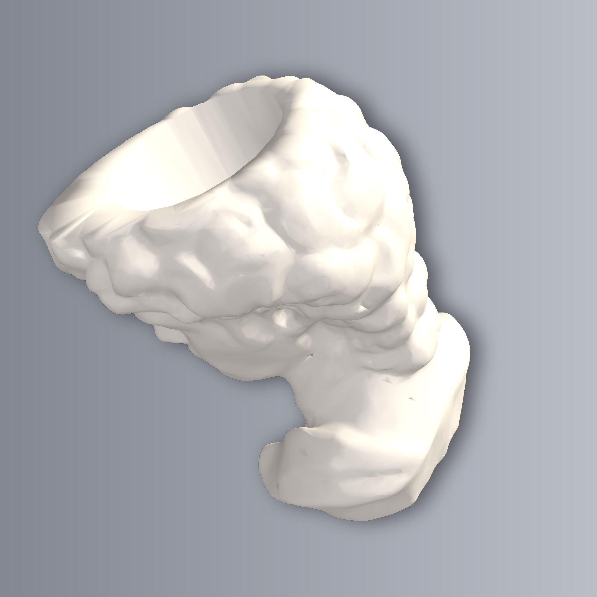 David Planter With Drainage 3D Print STL File