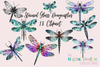 Dragonfly Clipart Bundle