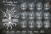 Family Tree Sign SVG Bundle
