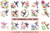 Floral Hummingbirds Clipart Bundle