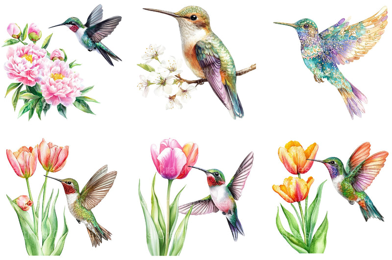 Floral Hummingbirds Clipart Bundle - CraftNest - Digital Crafting and Art