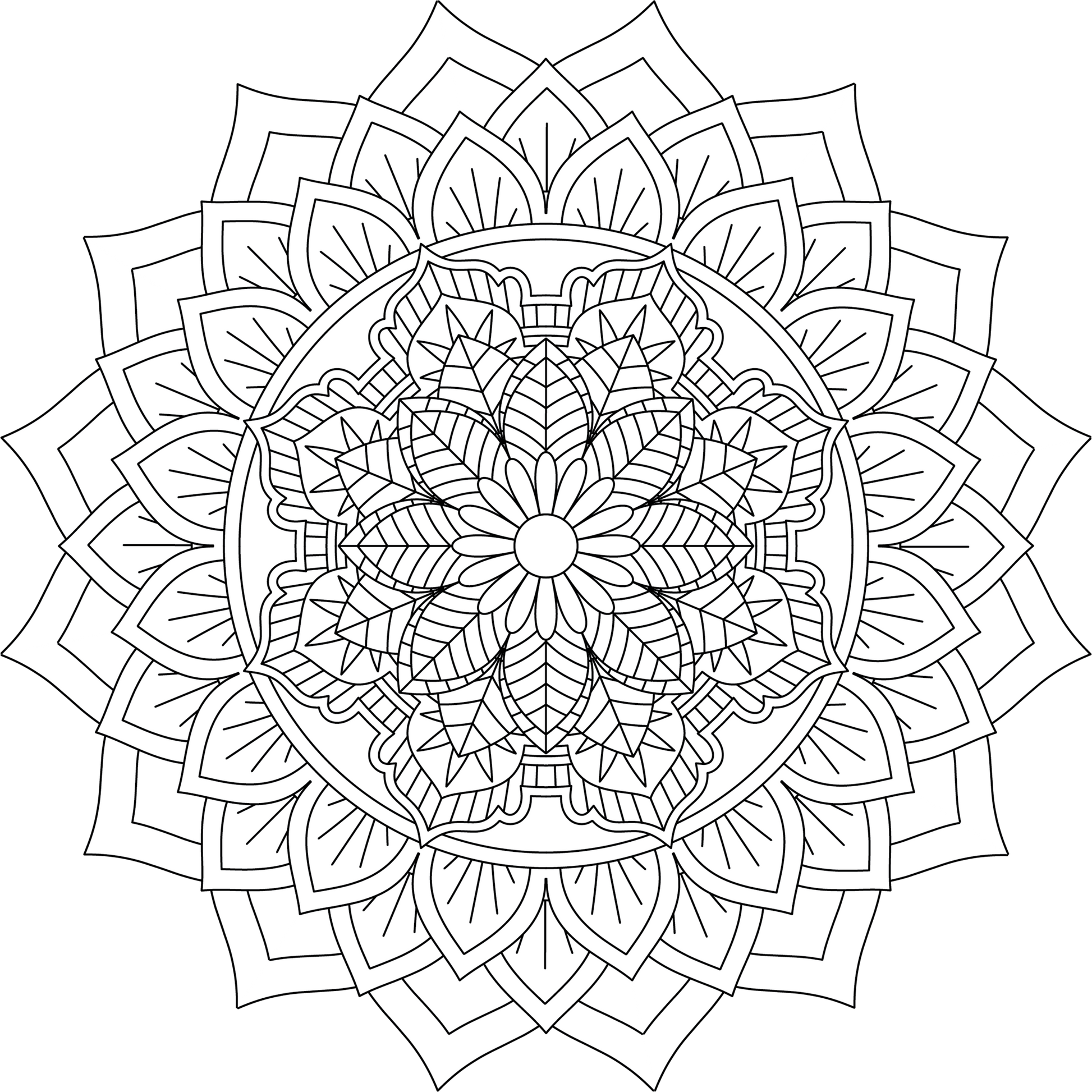 Colorist Heaven Mandala Coloring Book - CraftNest - Digital Crafting and Art
