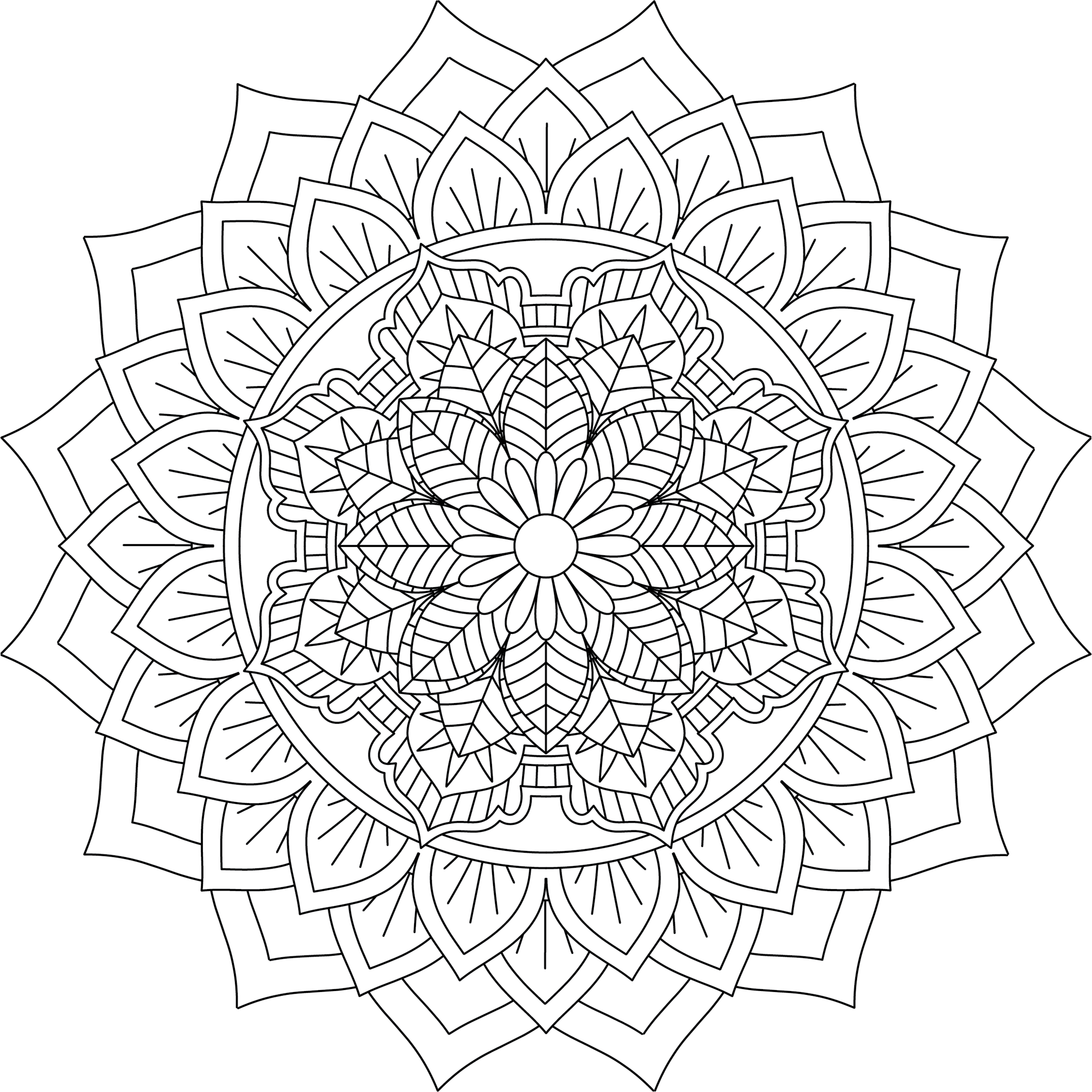 Colorist Heaven Mandala Coloring Book - CraftNest - Digital Crafting and Art