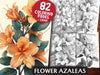 Flower Azaleas Coloring Books