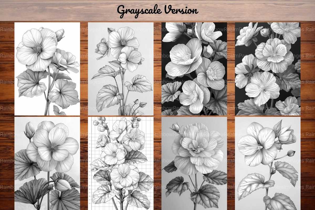 Flower Begonias Coloring Books - CraftNest